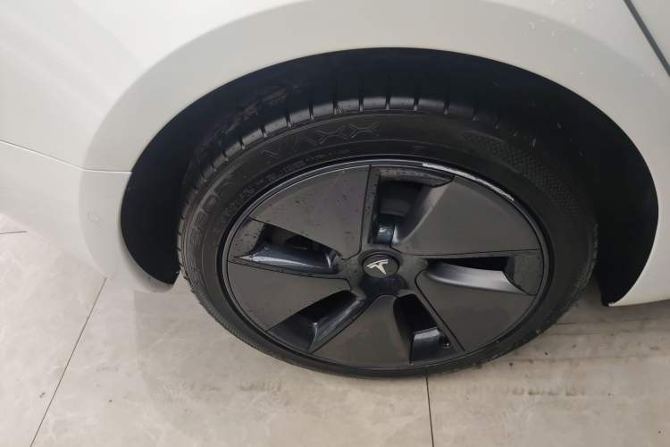 Used Tesla Model 3 2022 Rear-Wheel-Drive Version Exterior 5