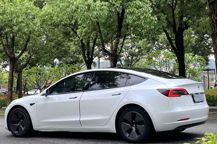 Used Tesla Model 3 2022 Rear-Wheel-Drive Version Exterior 5