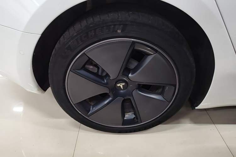 Used Tesla Model 3 2022 Rear-Wheel-Drive Version Exterior 5