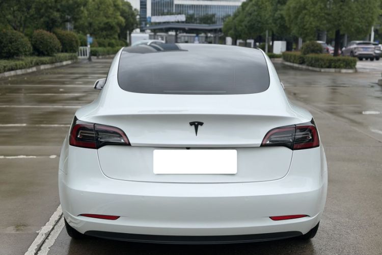 Used Tesla Model 3 2022 Rear-Wheel-Drive Version Exterior 5