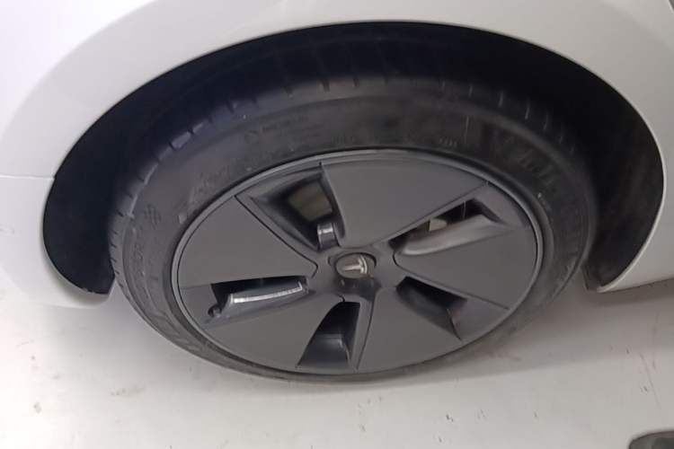 Used Tesla Model 3 2022 Rear-Wheel-Drive Version Exterior 5