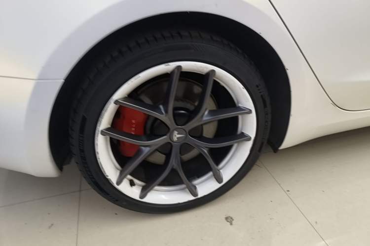 Used Tesla Model 3 2022 Performance High-Performance All-Wheel-Drive Version Exterior 5