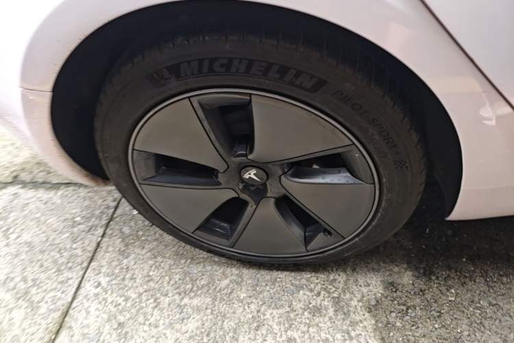 Used Tesla Model 3 2022 Rear-Wheel-Drive Version Exterior 5