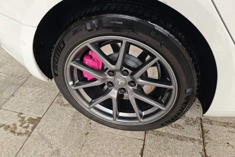 Used Tesla Model 3 2022 Rear-Wheel-Drive Version Exterior 5