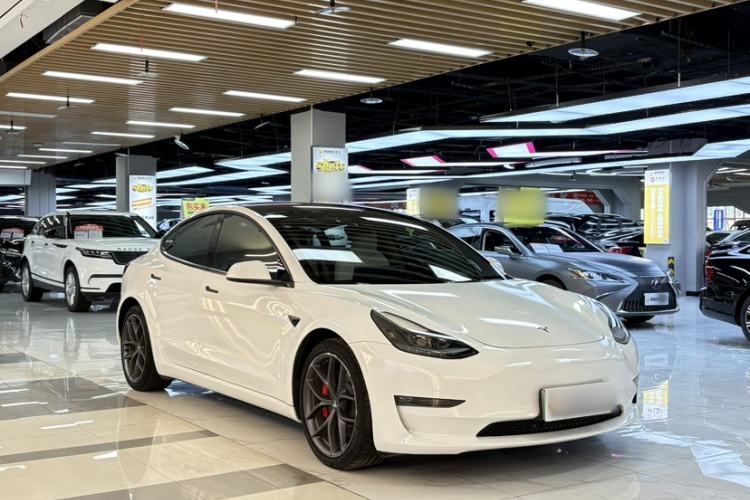 Used Tesla Model 3 2022 Performance High-Performance All-Wheel-Drive Version Exterior 6