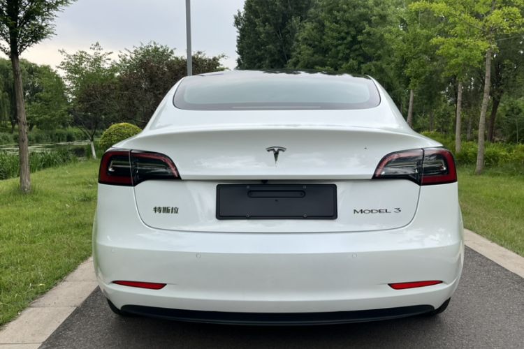Used Tesla Model 3 2022 Rear-Wheel-Drive Version Exterior 6