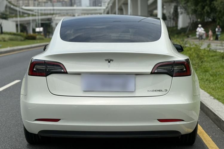 Used Tesla Model 3 2022 Rear-Wheel-Drive Version Exterior 6
