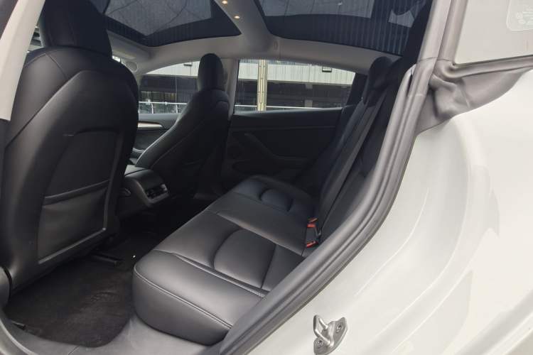 Used Tesla Model 3 2022 Rear-Wheel-Drive Version Exterior 6