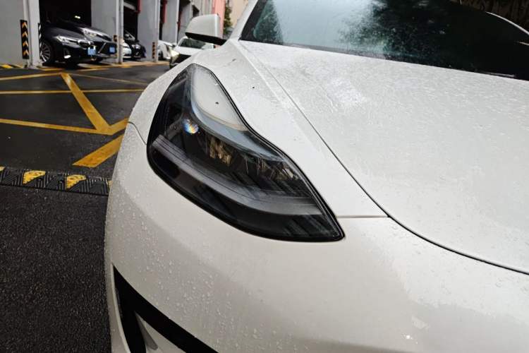 Used Tesla Model 3 2022 Rear-Wheel-Drive Version Exterior 6