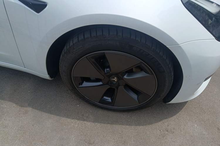 Used Tesla Model 3 2022 Rear-Wheel-Drive Version Exterior 7