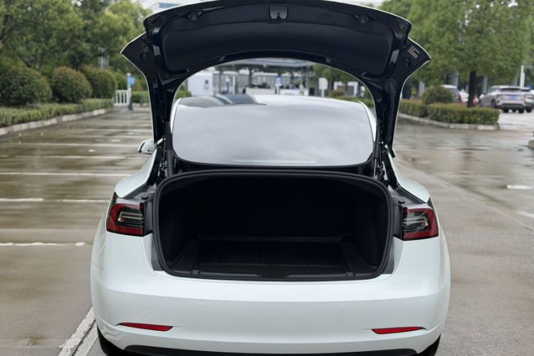 Used Tesla Model 3 2022 Rear-Wheel-Drive Version Exterior 7