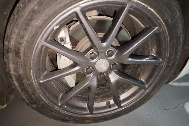 Used Tesla Model 3 2022 Rear-Wheel-Drive Version Exterior 7