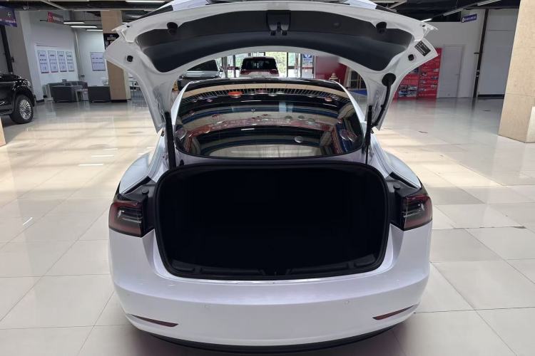 Used Tesla Model 3 2022 Rear-Wheel-Drive Version Exterior 8