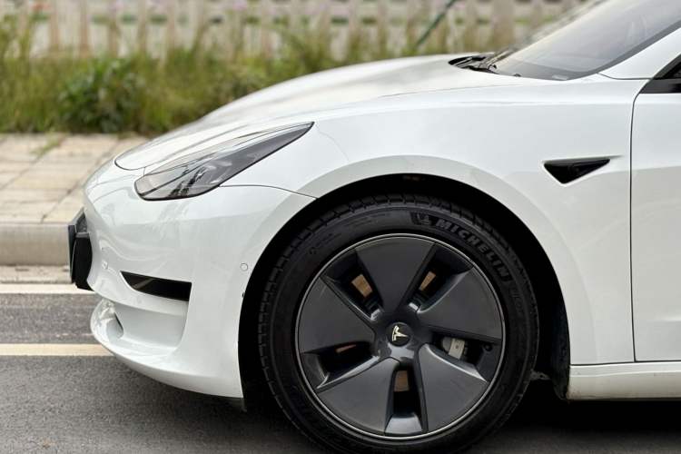 Used Tesla Model 3 2022 Rear-Wheel-Drive Version Exterior 8