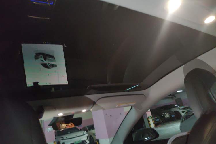 Used Tesla Model 3 2022 Performance High-Performance All-Wheel-Drive Version Headliner