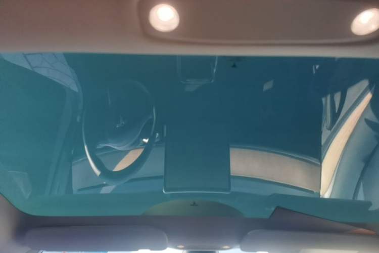 Used Tesla Model 3 2022 Rear-Wheel-Drive Version Headliner
