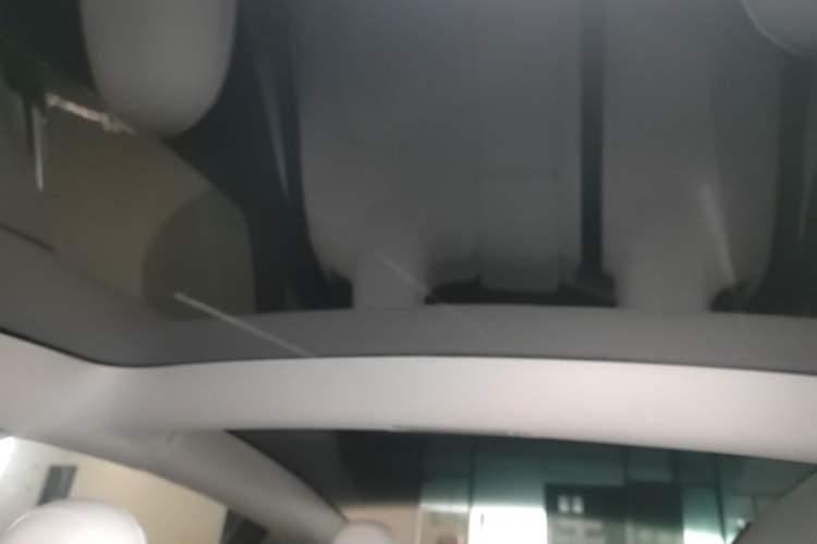 Used Tesla Model 3 2022 Rear-Wheel-Drive Version Headliner