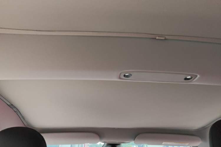 Used Tesla Model 3 2022 Performance High-Performance All-Wheel-Drive Version Headliner