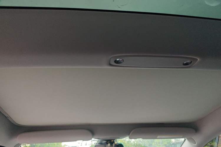 Used Tesla Model 3 2022 Rear-Wheel-Drive Version Headliner