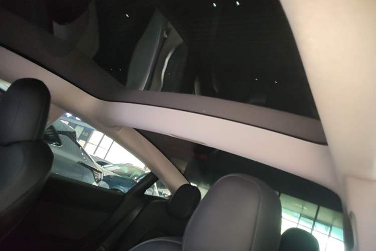 Used Tesla Model 3 2022 Rear-Wheel-Drive Version Headliner