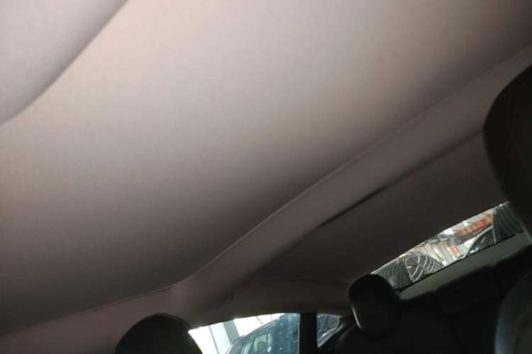Used Tesla Model 3 2022 Rear-Wheel-Drive Version Headliner