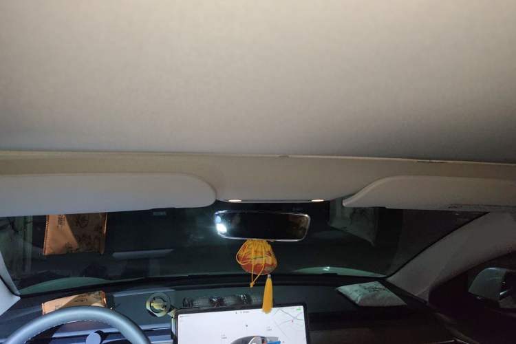 Used Tesla Model 3 2022 Rear-Wheel-Drive Version Headliner