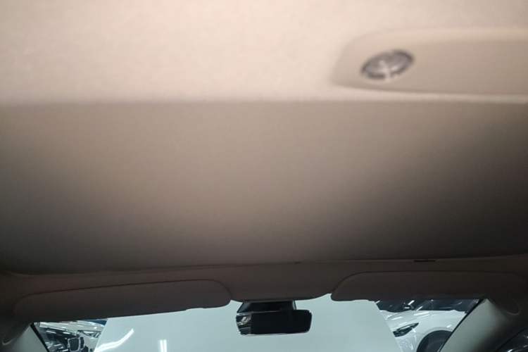 Used Tesla Model 3 2022 Rear-Wheel-Drive Version Headliner