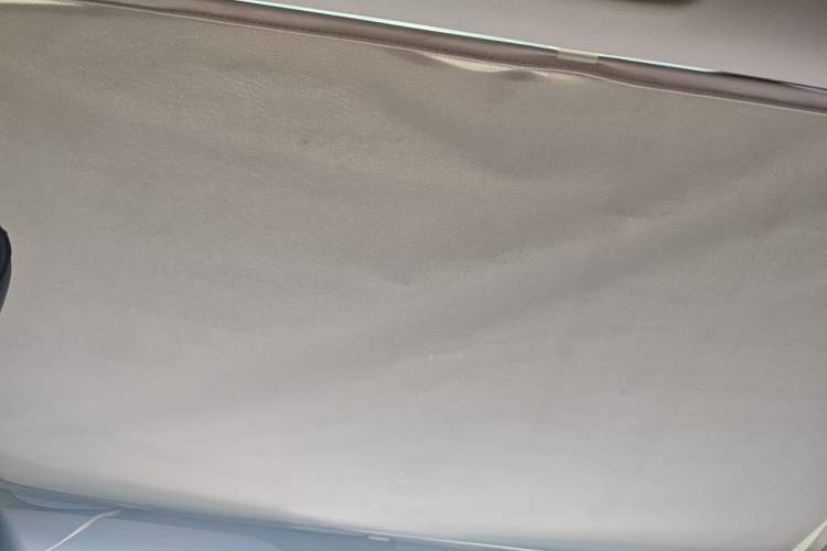 Used Tesla Model 3 2022 Rear-Wheel-Drive Version Headliner