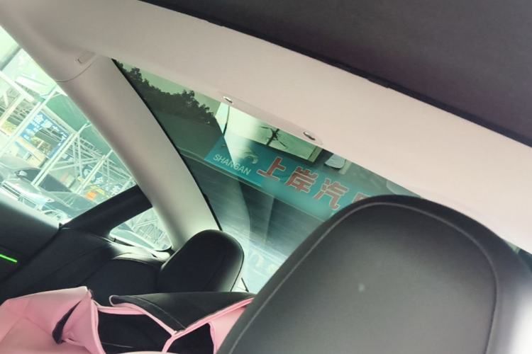 Used Tesla Model 3 2022 Rear-Wheel-Drive Version Headliner