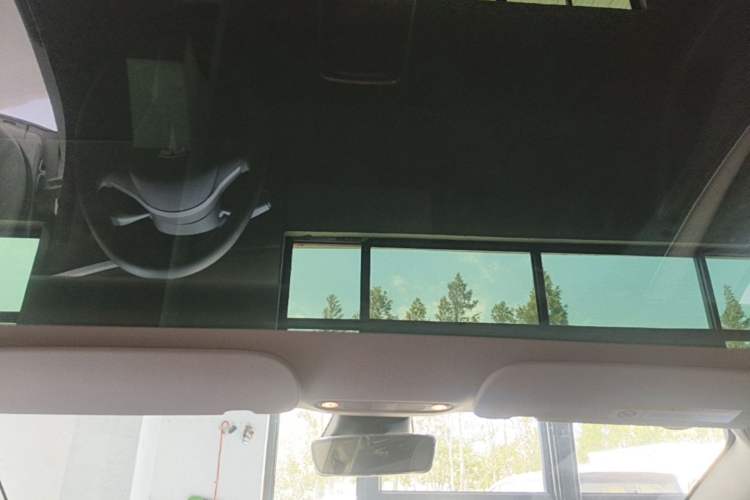 Used Tesla Model 3 2022 Rear-Wheel-Drive Version Headliner