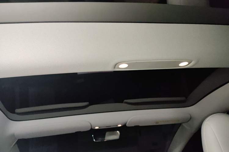 Used Tesla Model 3 2022 Rear-Wheel-Drive Version Headliner