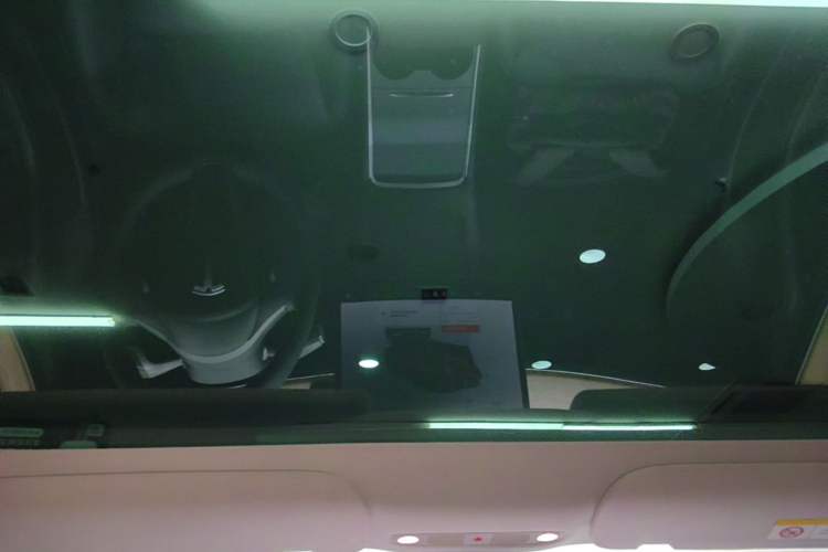 Used Tesla Model 3 2022 Performance High-Performance All-Wheel-Drive Version Headliner