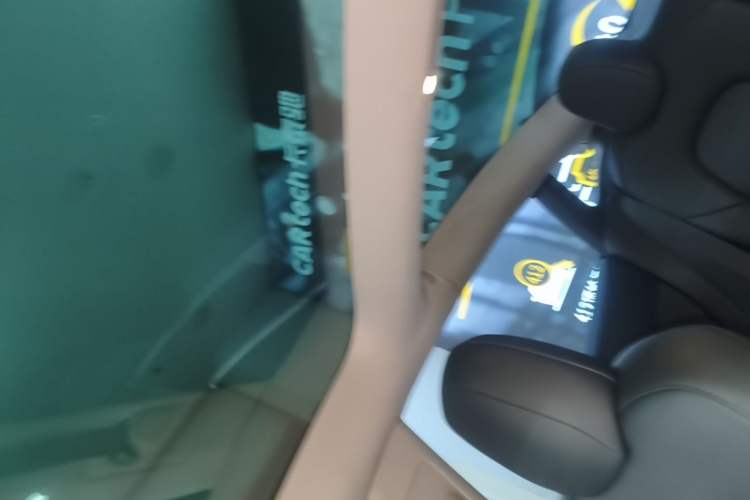 Used Tesla Model 3 2022 Rear-Wheel-Drive Version Headliner