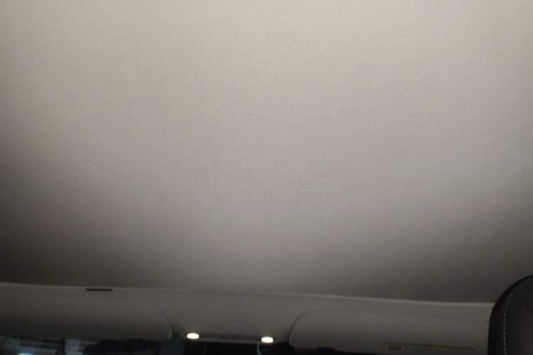 Used Tesla Model 3 2022 Rear-Wheel-Drive Version Headliner