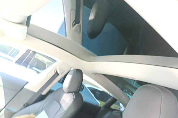 Used Tesla Model 3 2022 Rear-Wheel-Drive Version Headliner