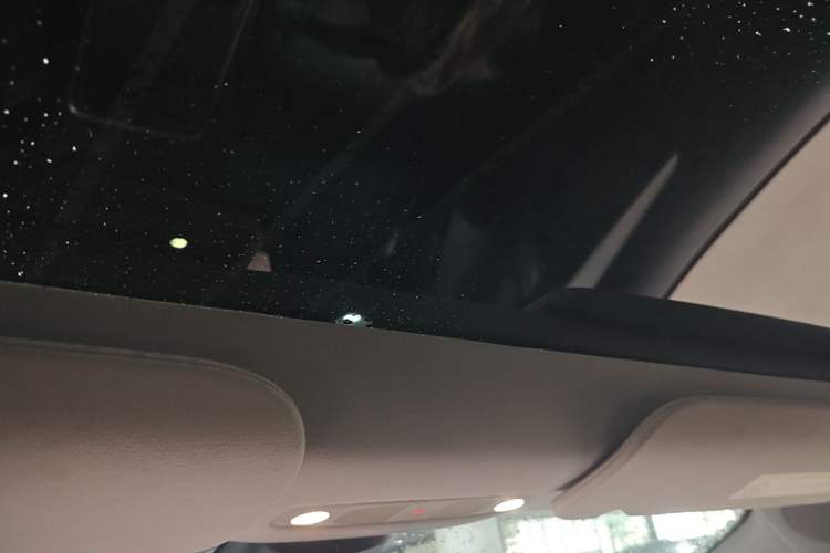 Used Tesla Model 3 2022 Rear-Wheel-Drive Version Headliner