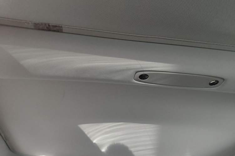 Used Tesla Model 3 2022 Rear-Wheel-Drive Version Headliner