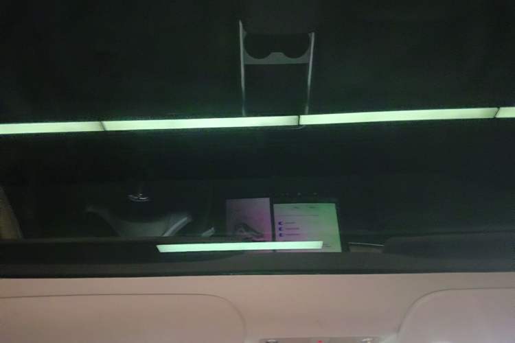 Used Tesla Model 3 2022 Rear-Wheel-Drive Version Headliner