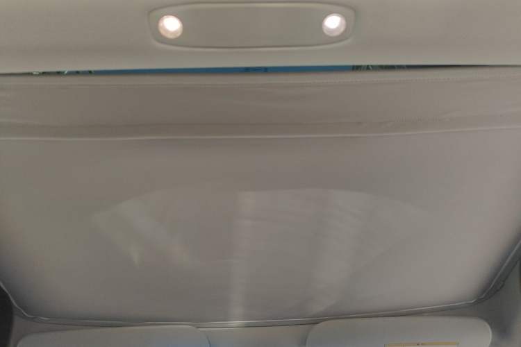 Used Tesla Model 3 2022 Performance High-Performance All-Wheel-Drive Version Headliner