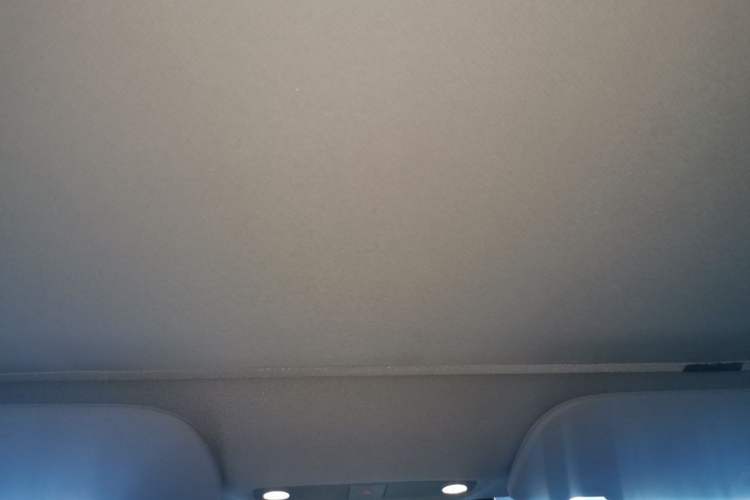 Used Tesla Model 3 2022 Rear-Wheel-Drive Version Headliner