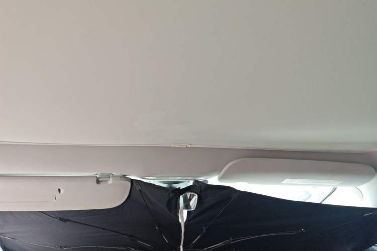Used Tesla Model 3 2022 Rear-Wheel-Drive Version Headliner