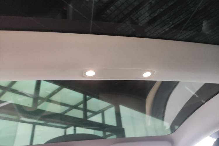 Used Tesla Model 3 2022 Rear-Wheel-Drive Version Headliner