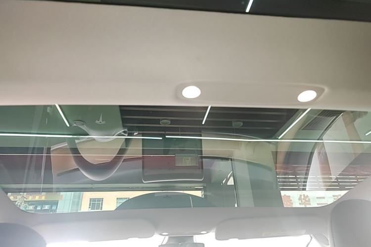 Used Tesla Model 3 2022 Rear-Wheel-Drive Version Headliner