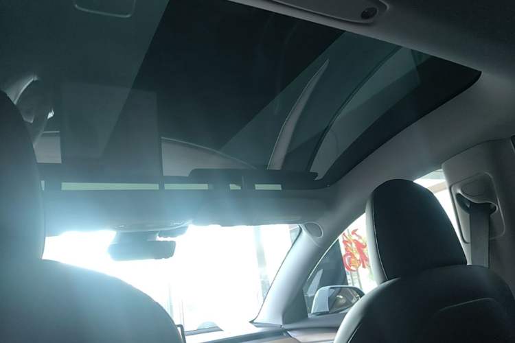 Used Tesla Model 3 2022 Rear-Wheel-Drive Version Headliner