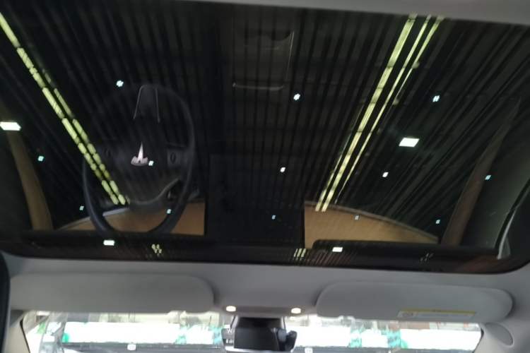 Used Tesla Model 3 2022 Rear-Wheel-Drive Version Headliner