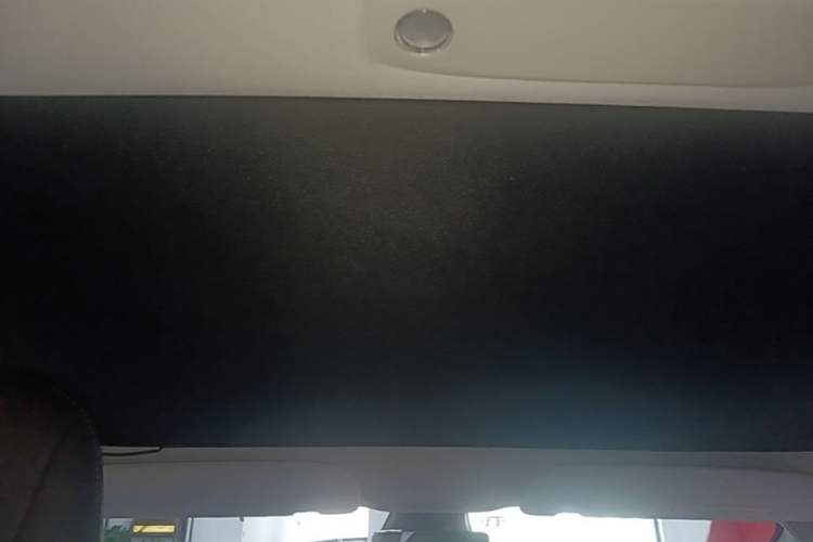 Used Tesla Model 3 2022 Performance High-Performance All-Wheel-Drive Version Headliner