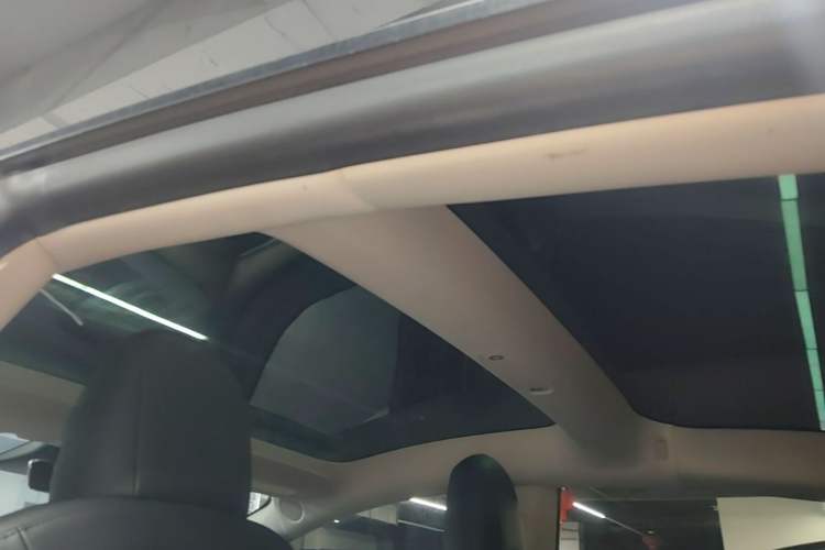 Used Tesla Model 3 2022 Performance High-Performance All-Wheel-Drive Version Headliner