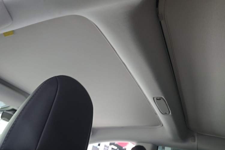 Used Tesla Model 3 2022 Rear-Wheel-Drive Version Headliner
