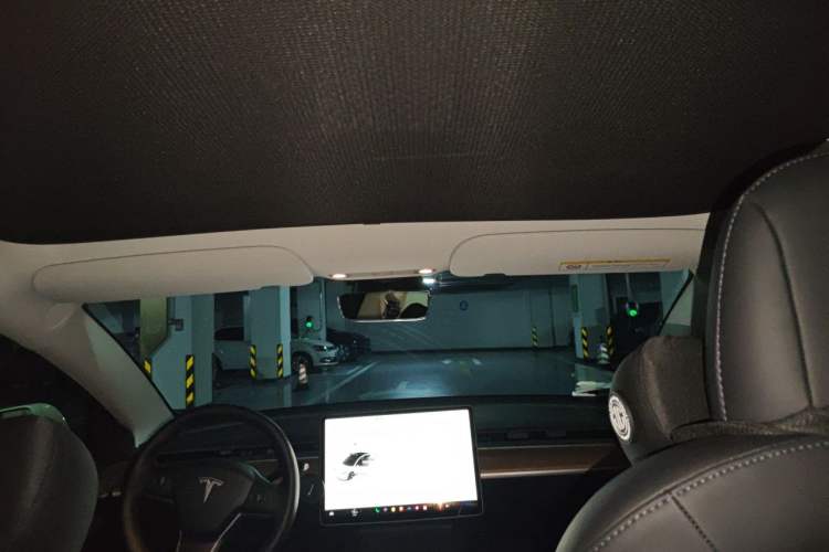 Used Tesla Model 3 2022 Rear-Wheel-Drive Version Headliner