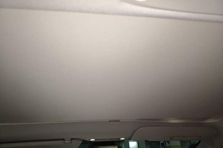 Used Tesla Model 3 2022 Rear-Wheel-Drive Version Headliner